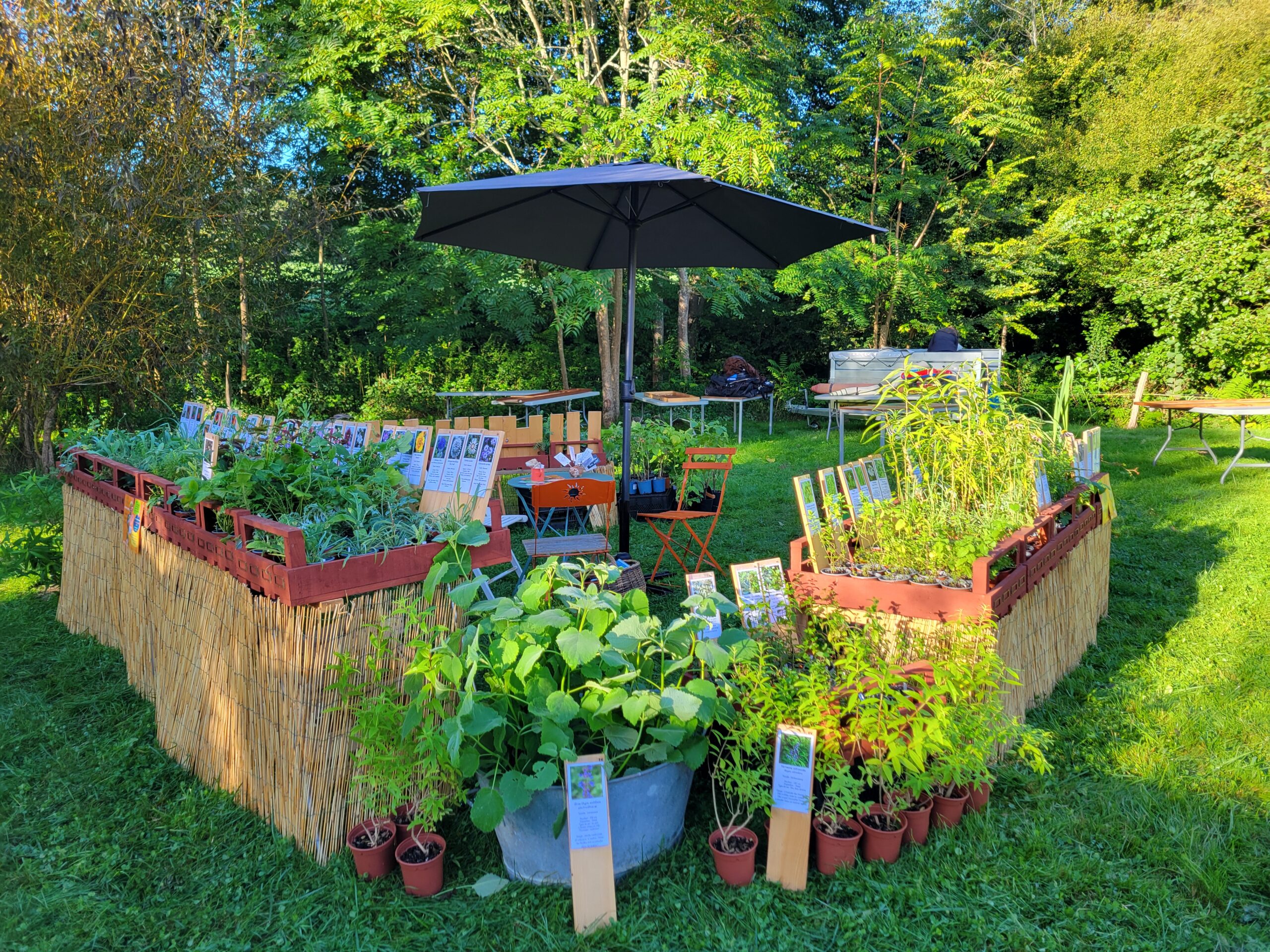 stand plantes